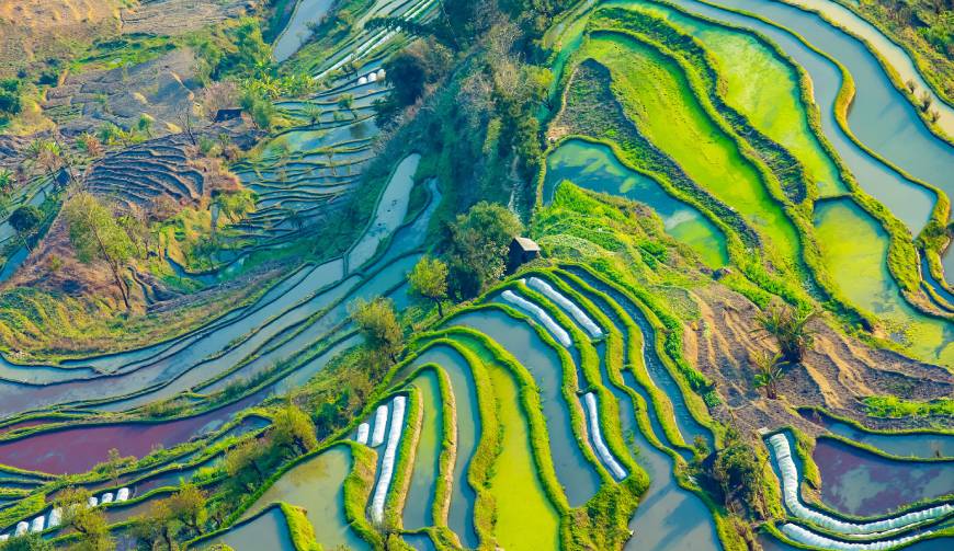 走进龙圩区TVC拍摄：解锁本地化场景与创意镜头的完美融合